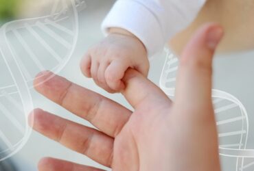 VERIFICACION DE PRUEBAS DE ADN